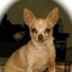 Meet your Posher, Jaime